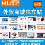 美络云跨境电商自建站-商城PRO