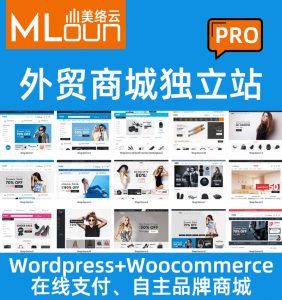 美络云跨境电商自建站-商城PRO