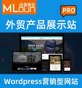 Wordpress独立站-外贸产品展示站PRO