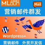 外贸邮件群发Email marketing
