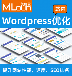 Wordpress站内优化
