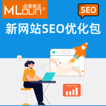 新网站SEO优化包
