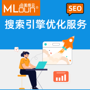 谷歌Google搜索引擎优化服务